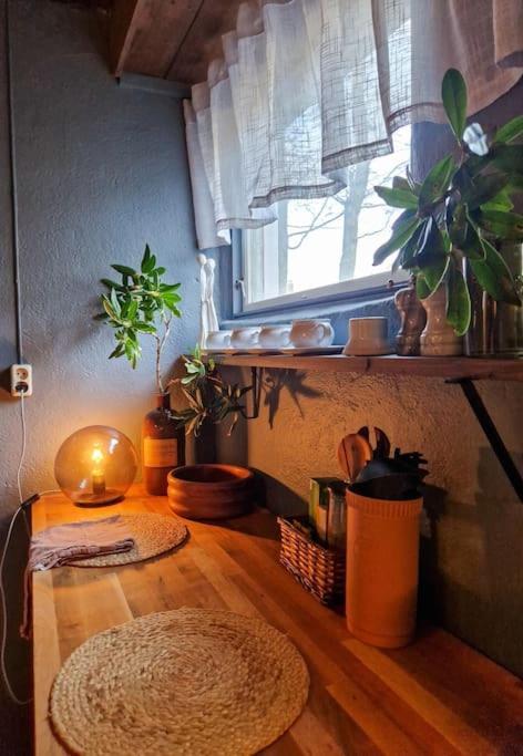 Cosy Ground Floor Apartment With Three Bedrooms Bergen Buitenkant foto